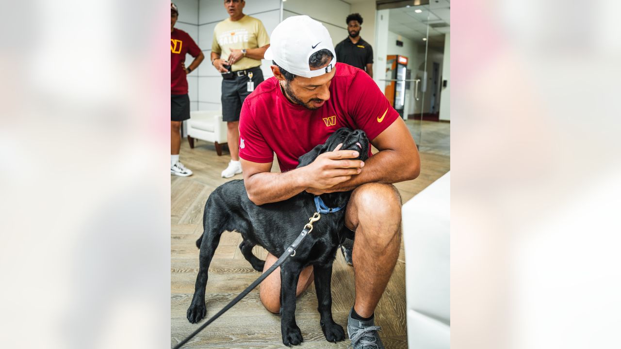 Mando, the Commanders' team dog, is training for a bigger job - The  Washington Post