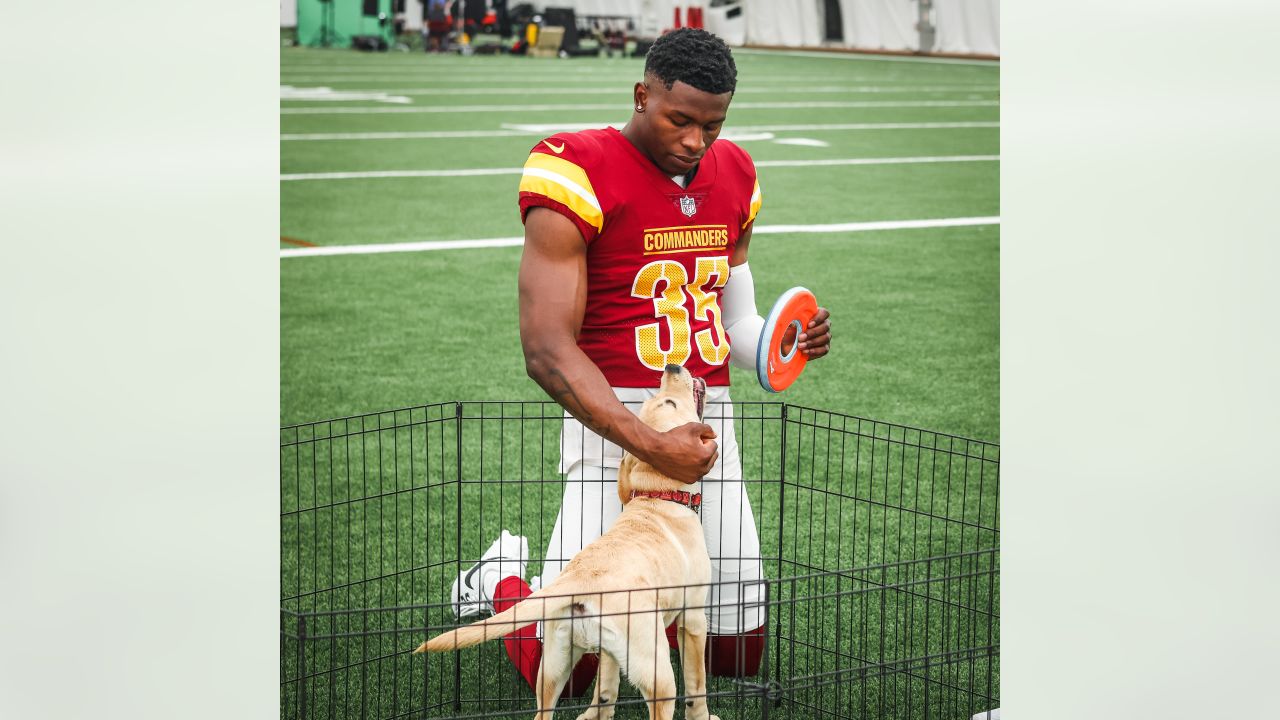 Washington Commanders recruit furry rookie, Meet Goldie, the service dog  in training!