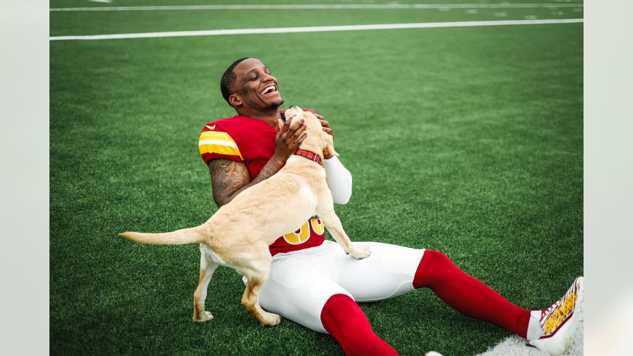 Washington Commanders recruit furry rookie, Meet Goldie, the service dog  in training!