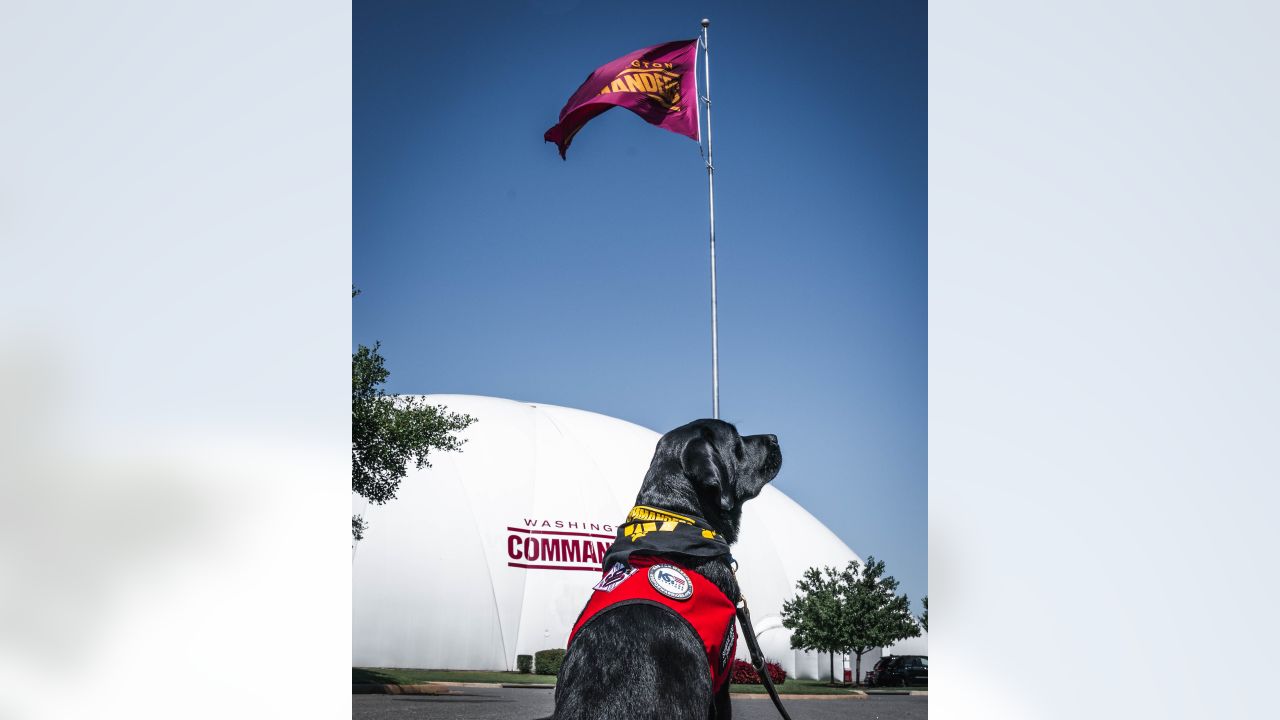 Commanders service dog Mando, A very good boy 