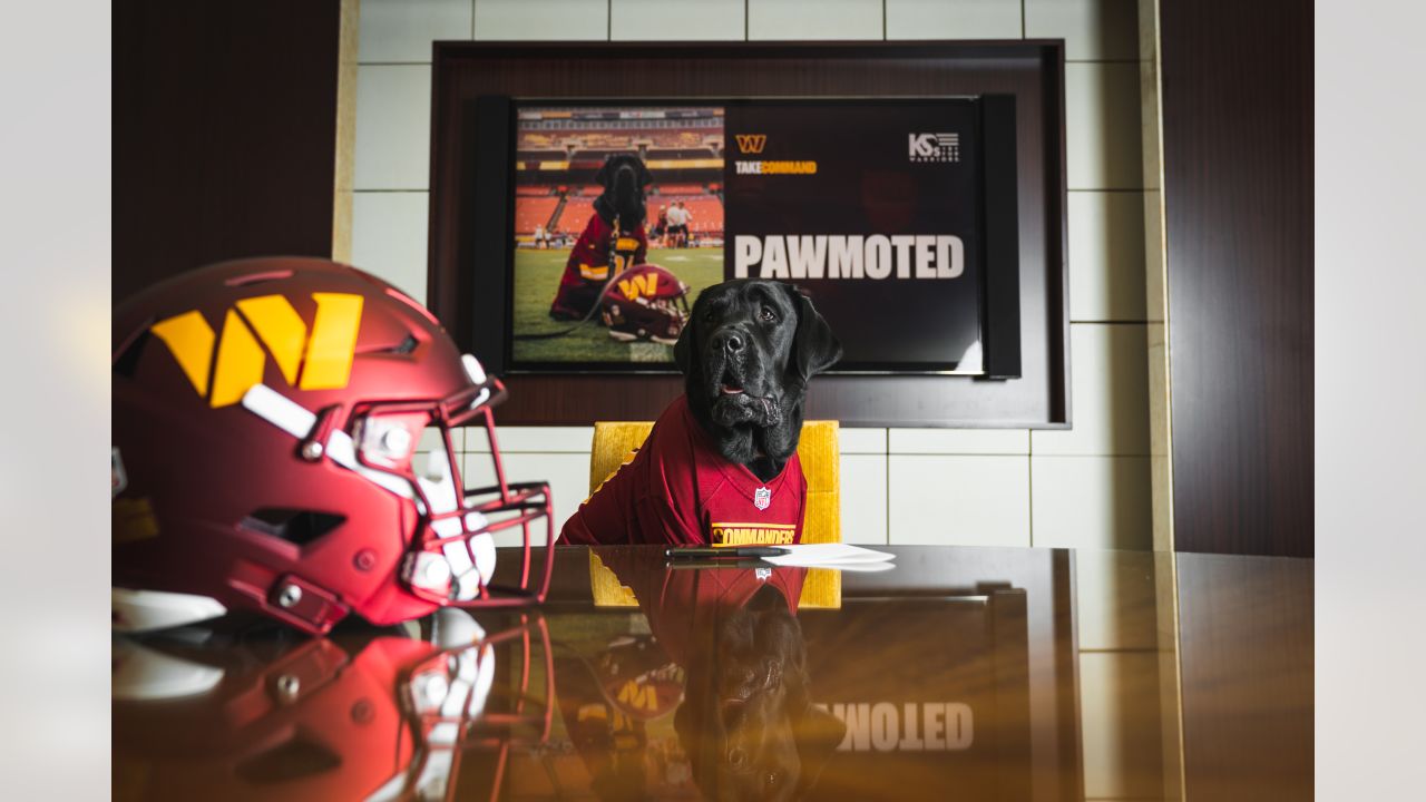 PHOTOS  Team dog Mando has un-fur-gettable season with Commanders