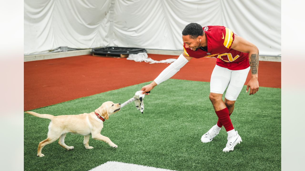 Washington Commanders recruit furry rookie, Meet Goldie, the service dog  in training!