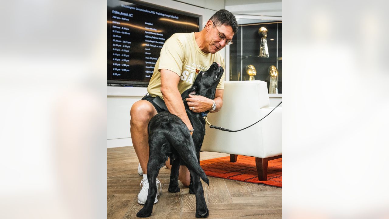 PHOTOS: Commanders team dog Mando earns a bigger job