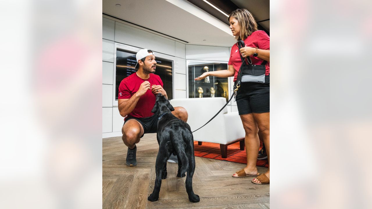 Washington Commanders recruit furry rookie, Meet Goldie, the service dog  in training!