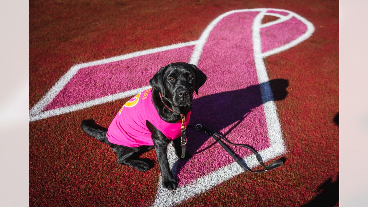 Washington Football Team Unveils 2021 Think Pink® Breast Cancer Awareness  Campaign Plans For Week 5 Of NFL Season