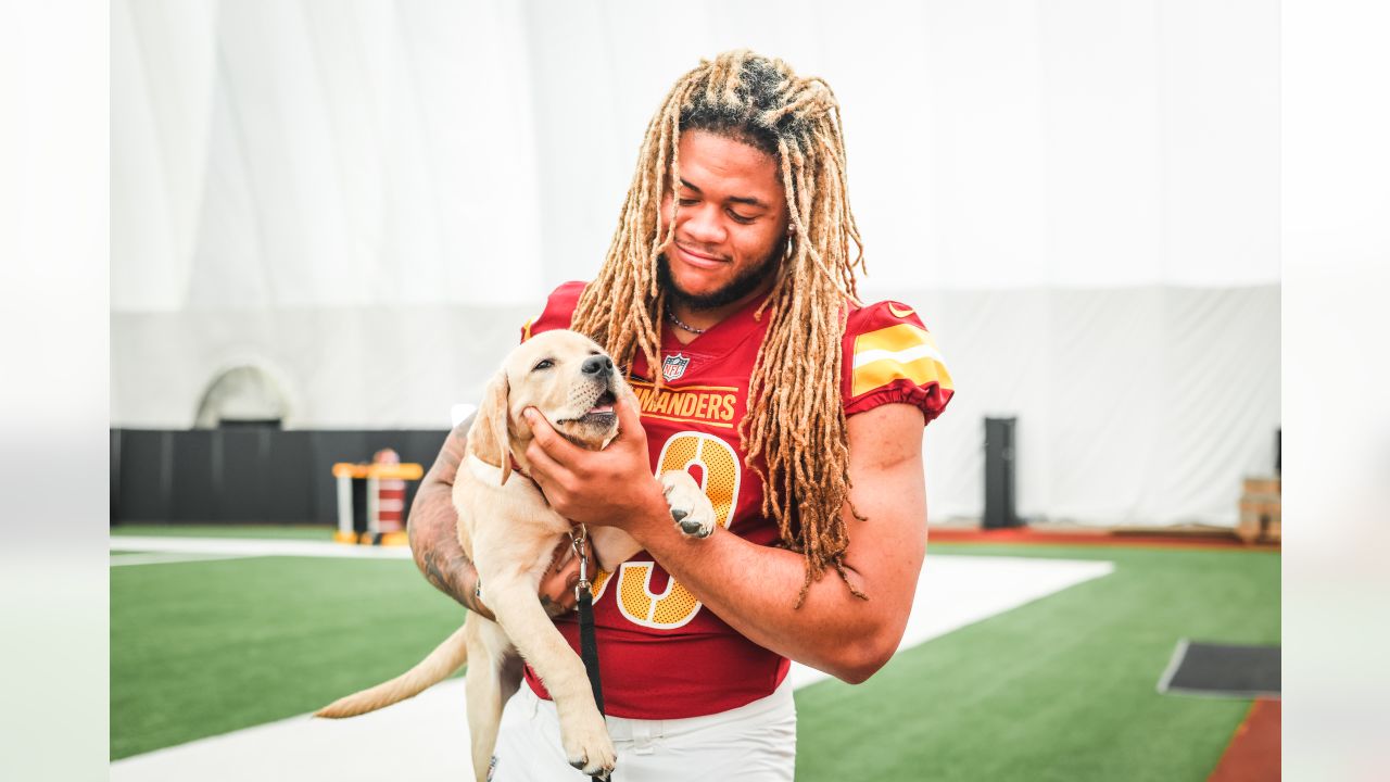 Meet the Washington Commanders' new team dog, Goldie - Axios