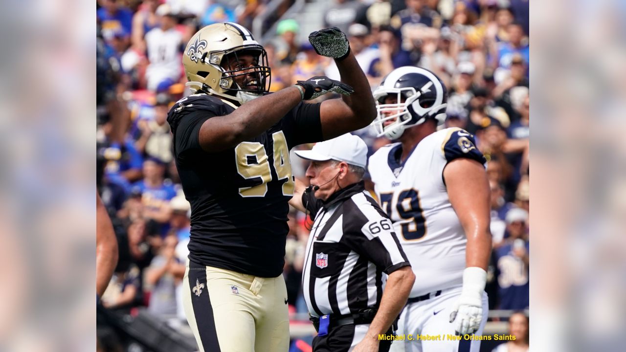 New Orleans Saints 2018 Defensive End Breakdown - Last Word on Pro Football