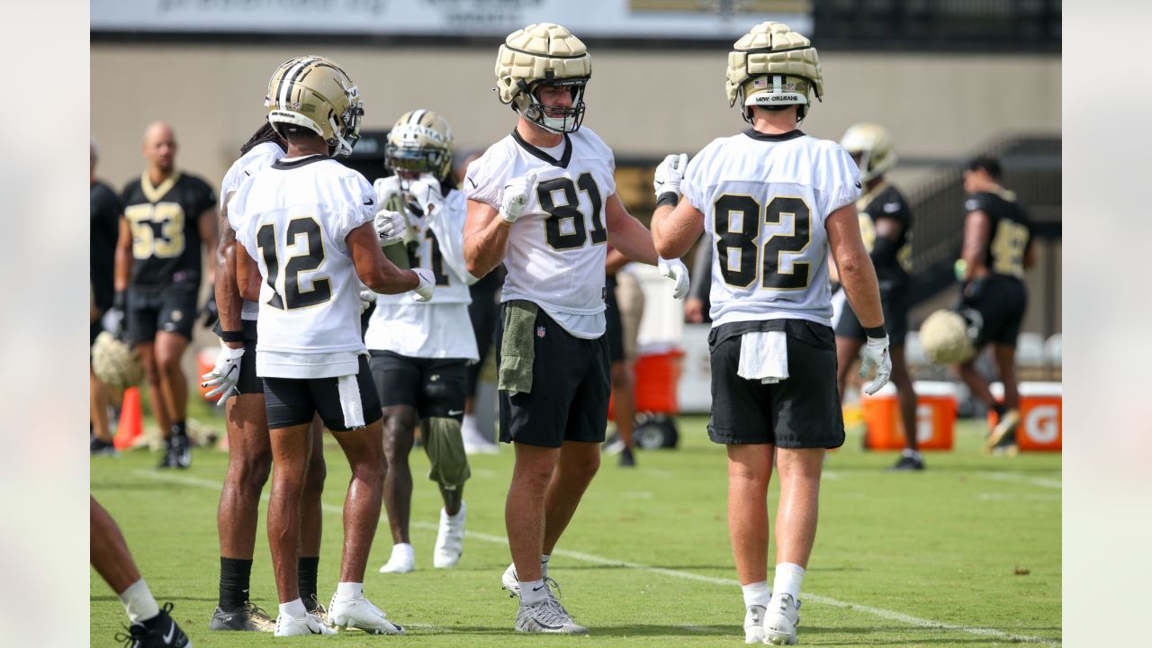 Jahri Evans and Ty Warren will serve as coaching interns at Saints training  camp - Canal Street Chronicles