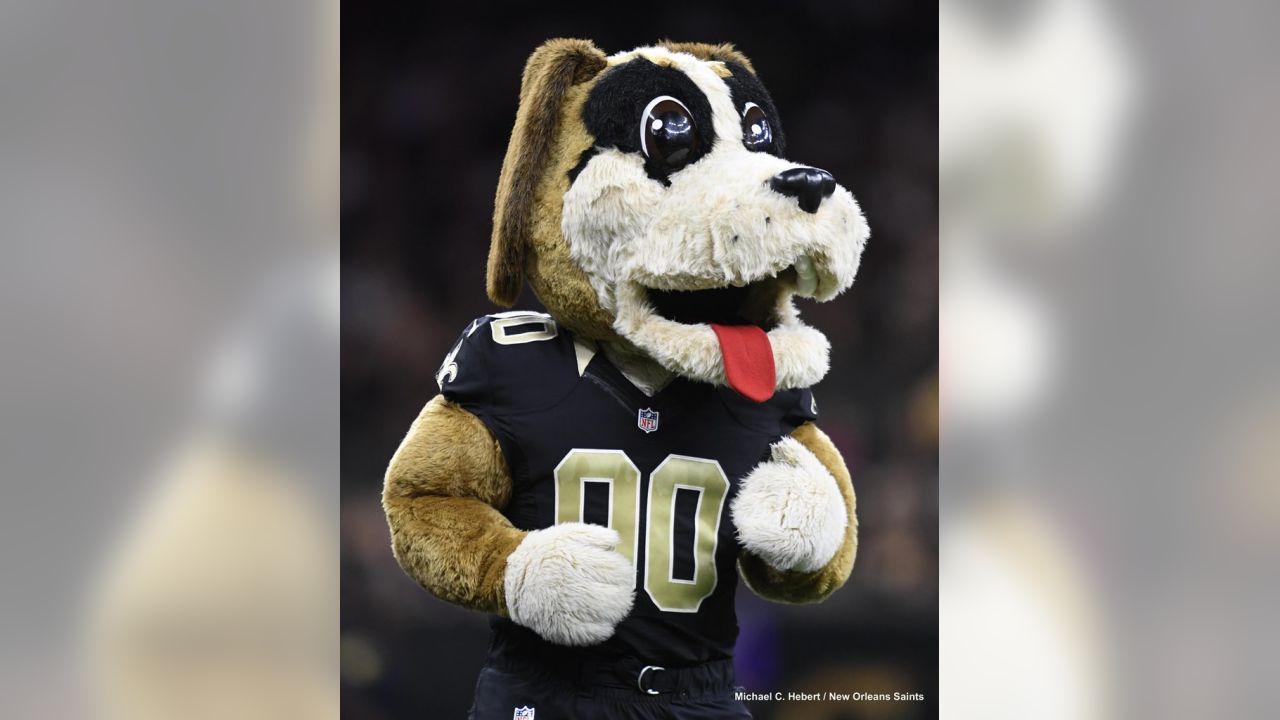 Saints #Dog #NOLA  Saints football, New orleans saints football, Doggie  style