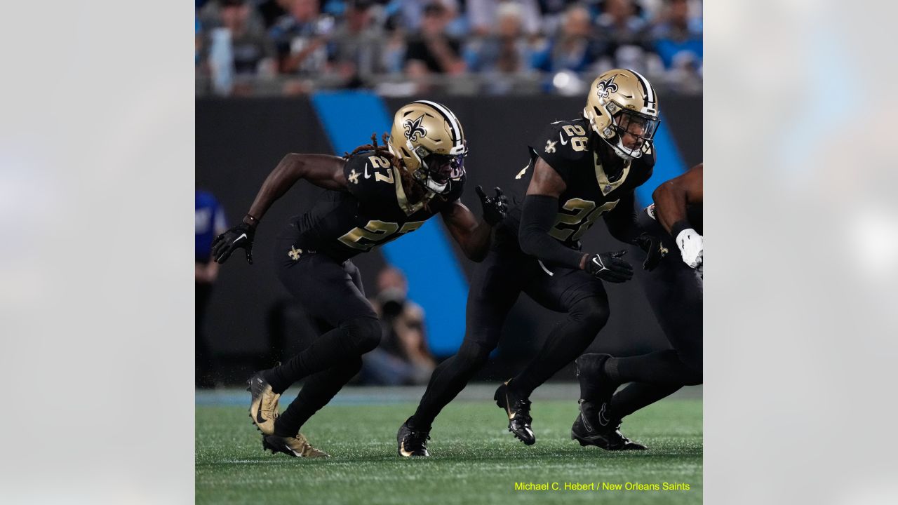 PHOTOS: Game action shots from Panthers-Saints