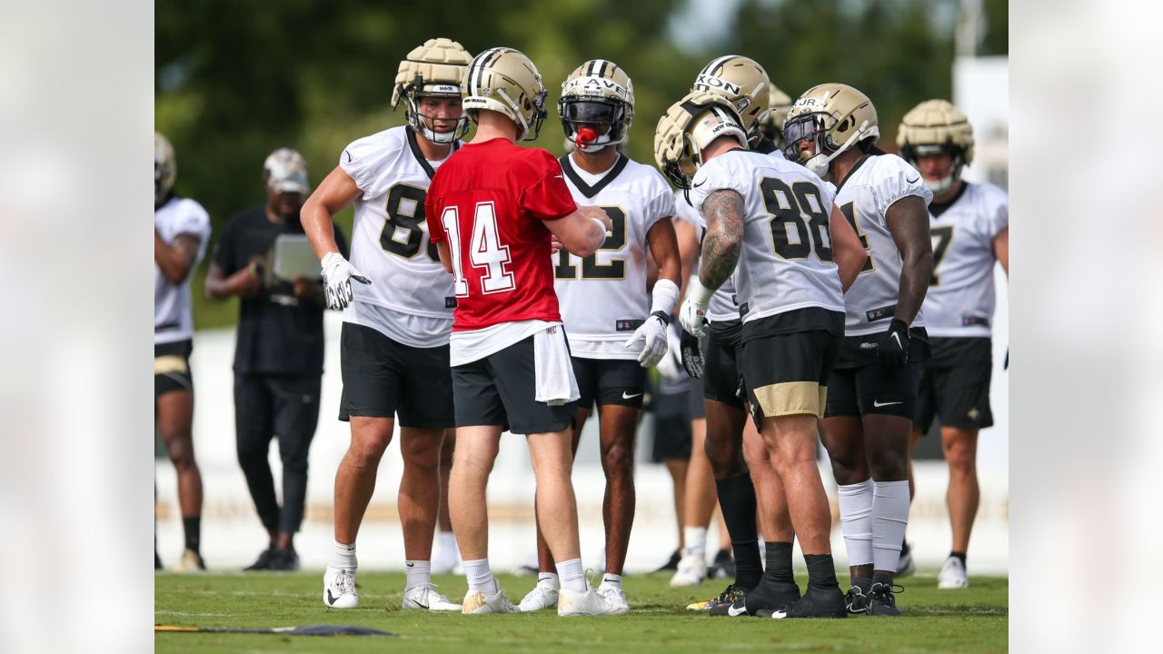 Jahri Evans and Ty Warren will serve as coaching interns at Saints