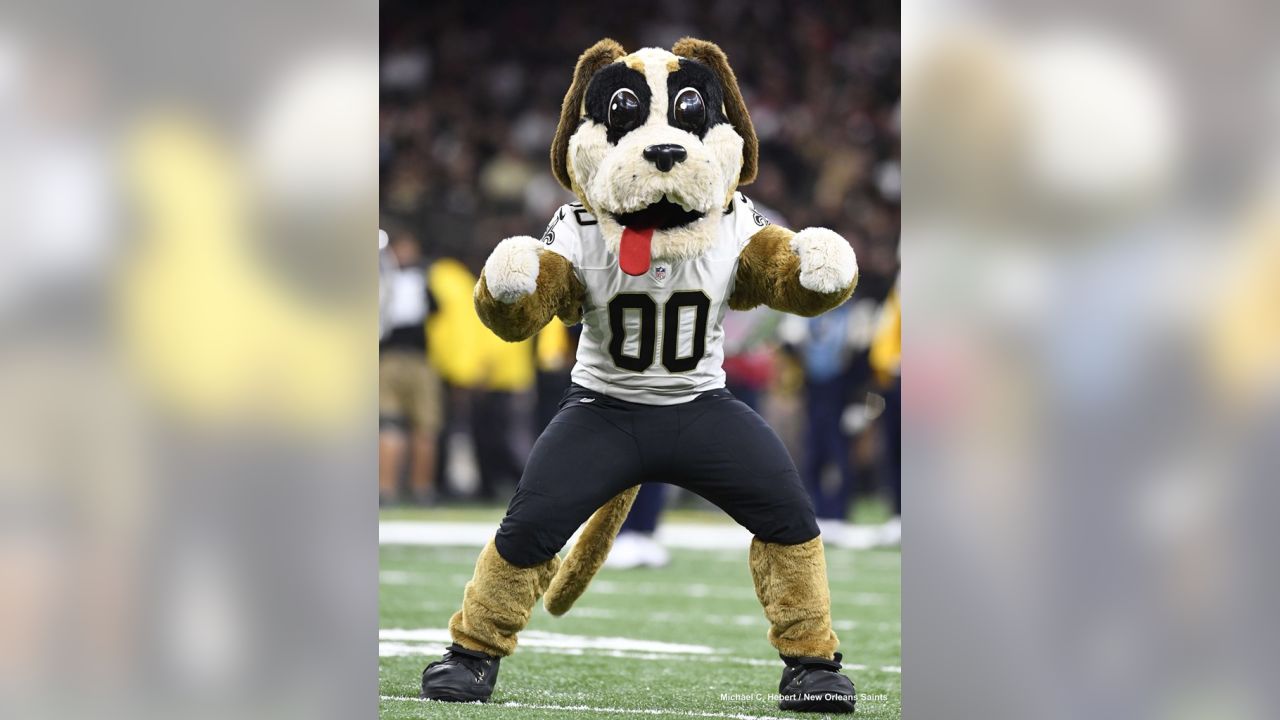 16 Saints Pet ideas  new orleans saints, saints, new orleans