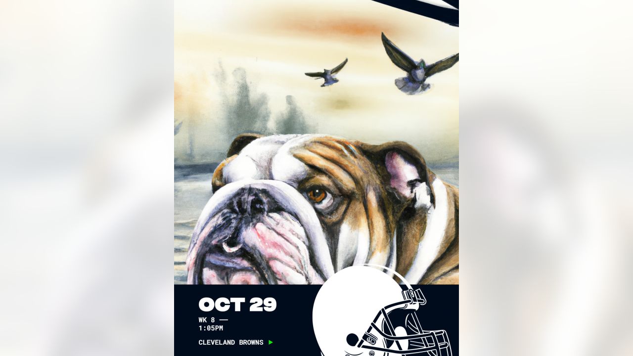 15 Best Seattle Seahawks Dog Products to Celebrate the 2023