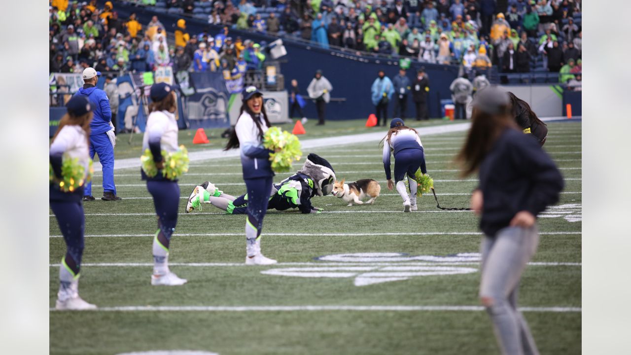 Seahawks veteran Shelby Harris relishes first playoff trip - The Columbian