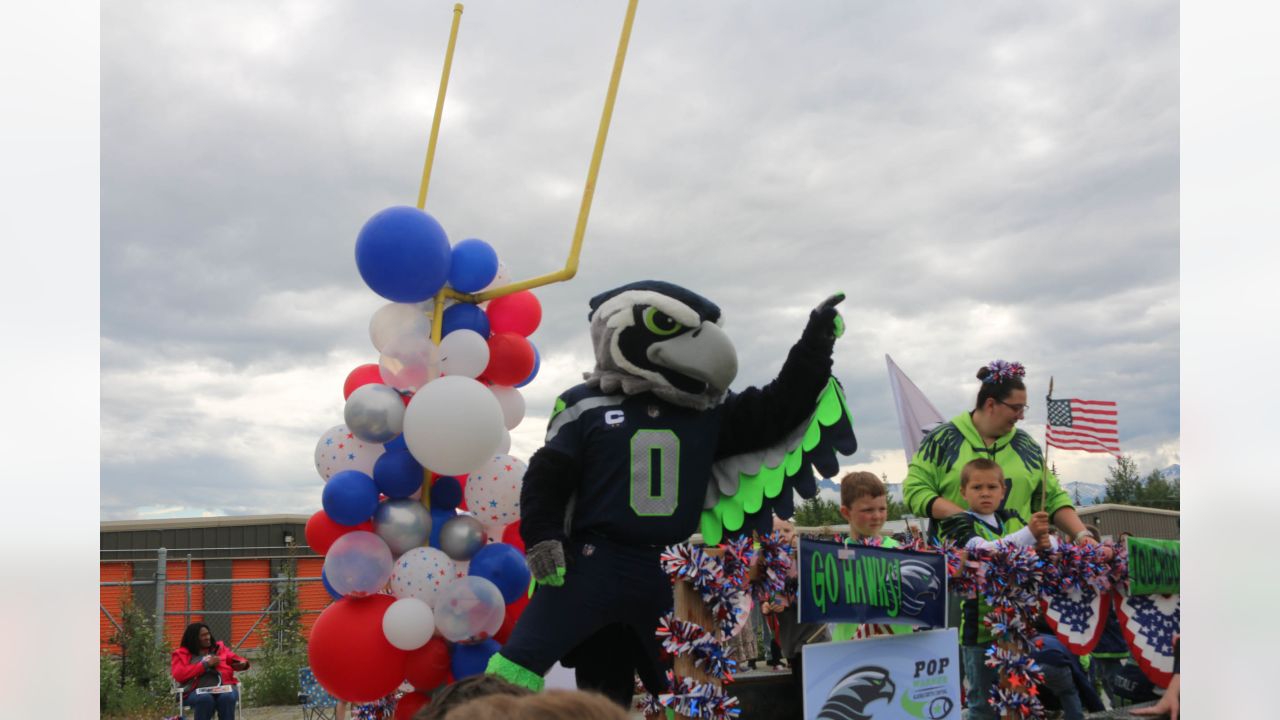 Seattle Seahawks Blitz GIF - Seattle Seahawks Blitz Waving