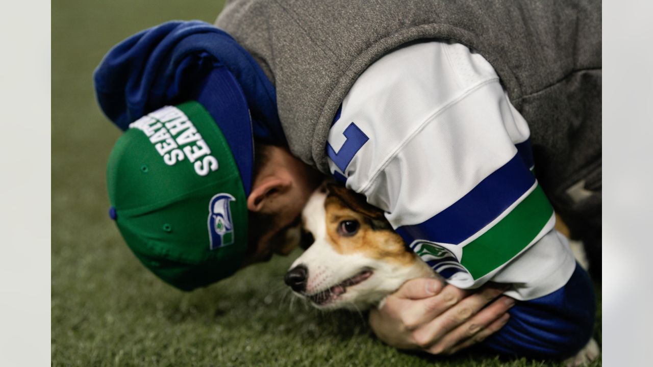 The Seahawks Dancers on X: What we've all been waiting for OUR CORGI  CUP WINNER 