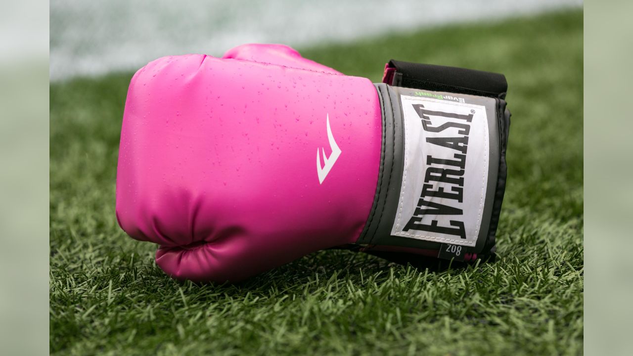 Bolts Honor Breast Cancer Survivors During Annual Crucial Catch Game