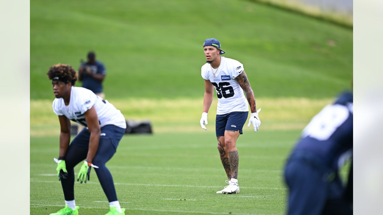 Seattle Seahawks head coach brandishes Allianz Arena playing