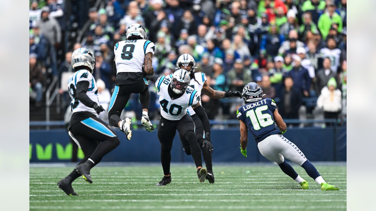 Seahawks vs. Panthers Week 14: News, injury updates, odds, previews, recap  - Field Gulls