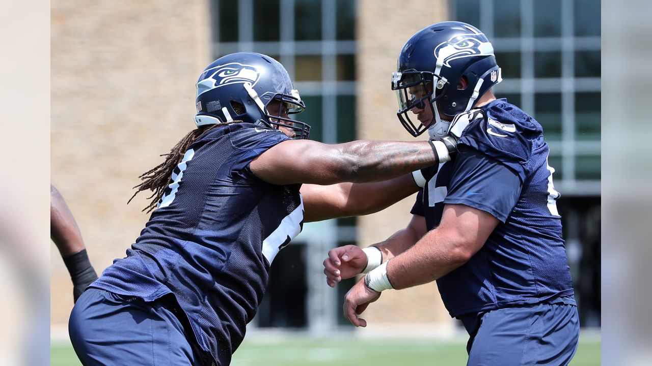 Seahawks LB Lofa Tatupu enjoying a solid comeback, Professional/National  Sports