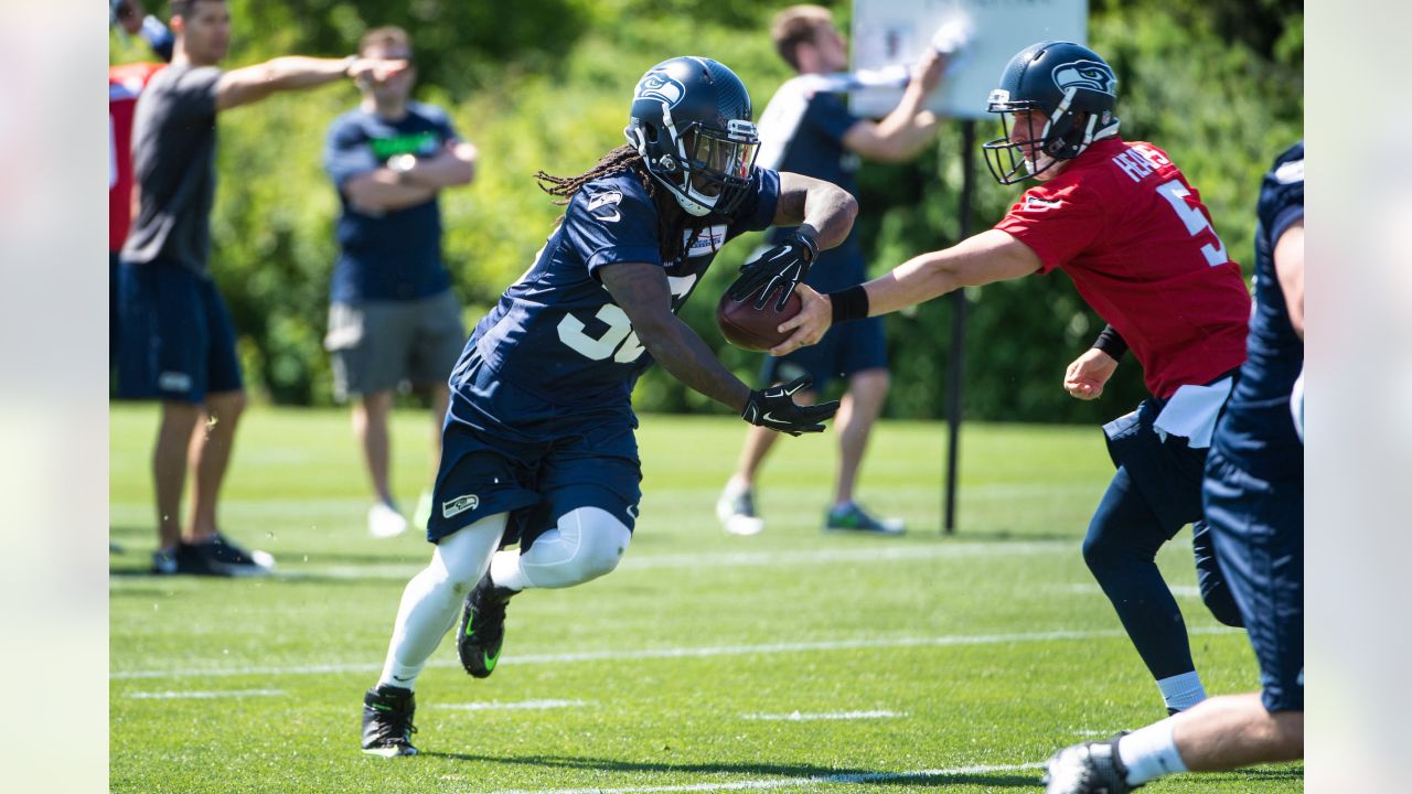 Seahawks trio of rookie RBs, including Alex Collins, get long look during  minicamp