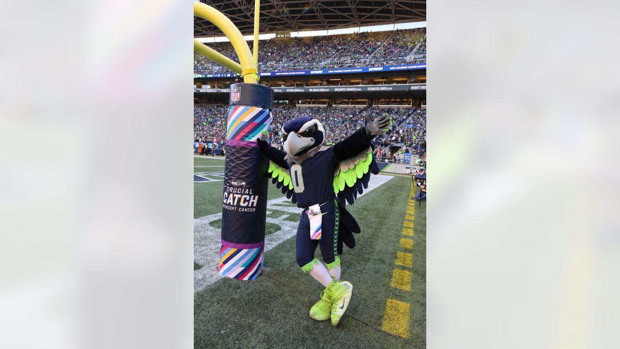 PHOTOS: Top Shots Of Seahawks Mascot Blitz From The 2022 Season