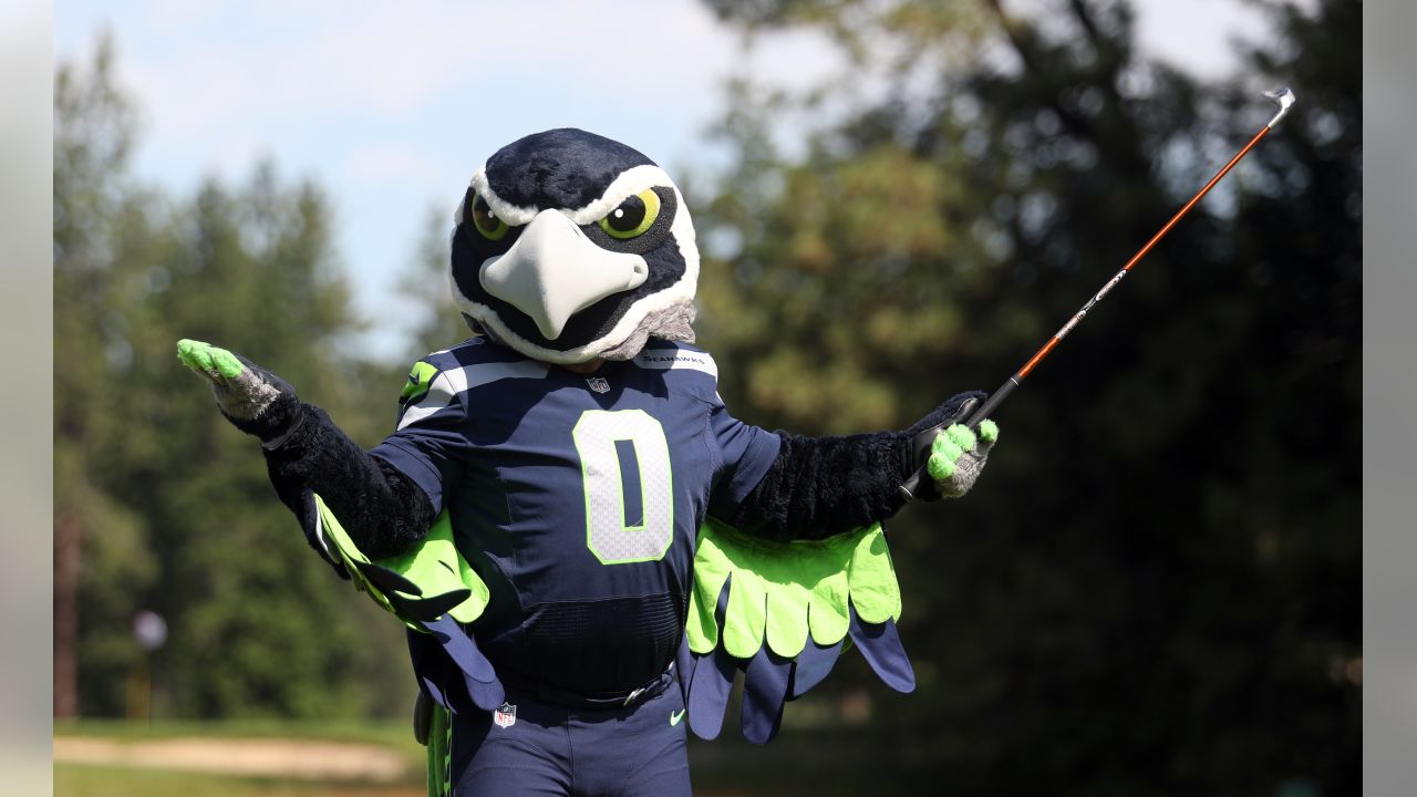 Seahawks mascot selfie unintentionally looks wildly inappropriate