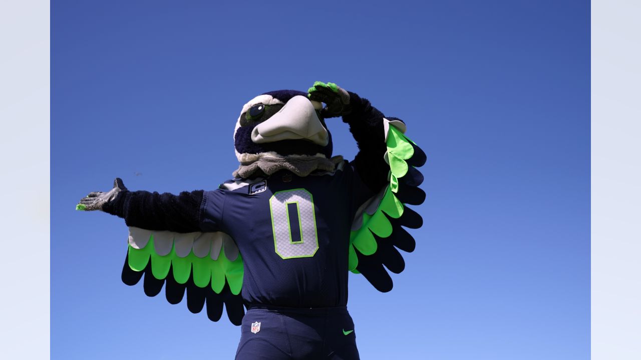 Seattle Seahawk Mascot Blitz Performs During Editorial Stock Photo - Stock  Image