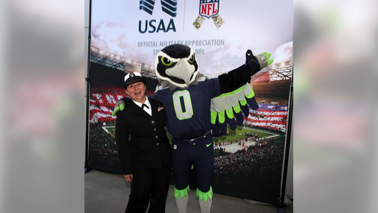 Salute to Service: The NFL's Commitment to the Military Community -  Ticketmaster Blog