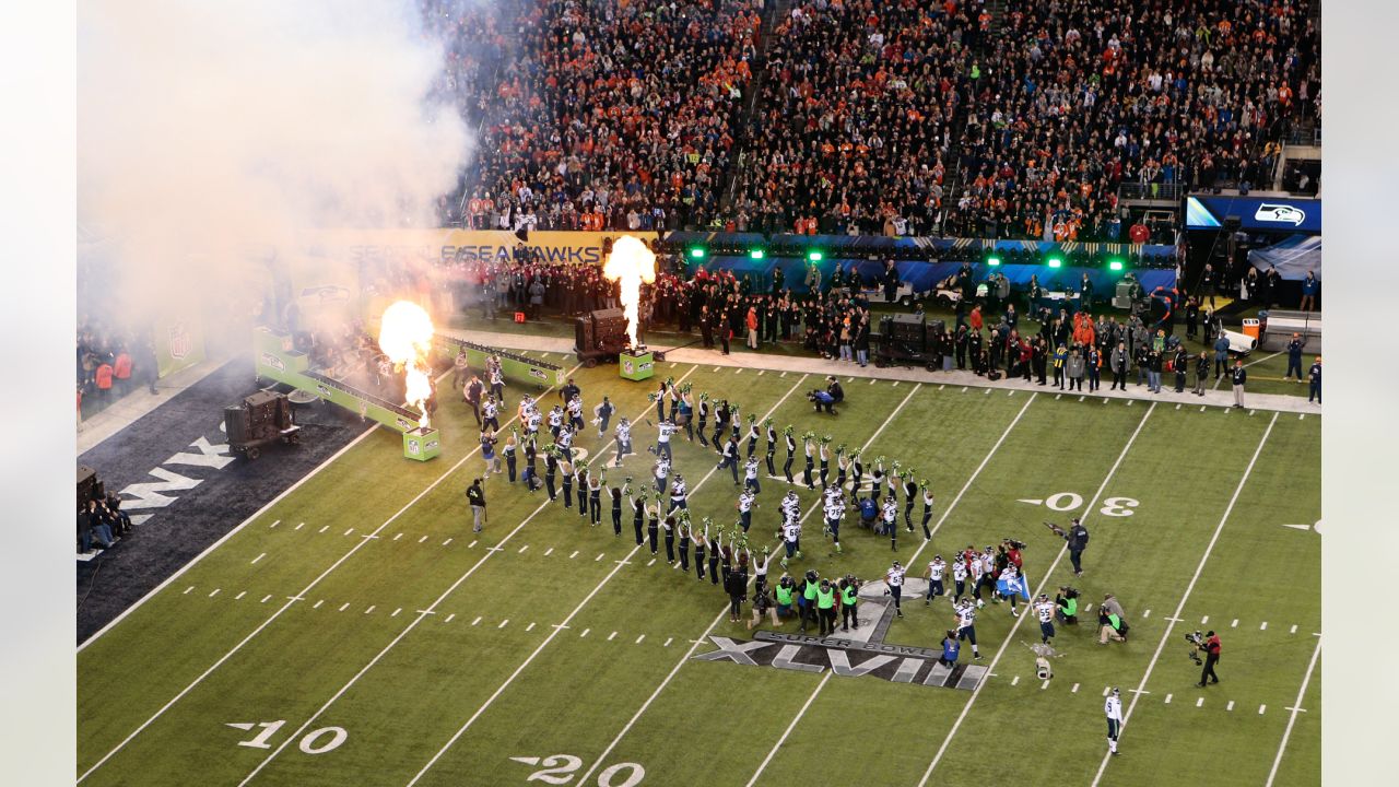 Super Bowl XLVIII: Broncos vs. Seahawks - Cat Scratch Reader