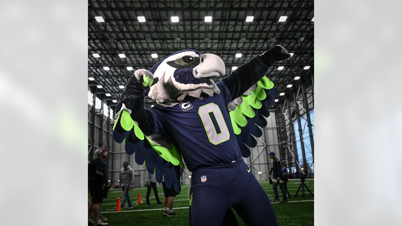 Seattle Seahawks Blitz GIF - Seattle Seahawks Blitz Nfl - Discover