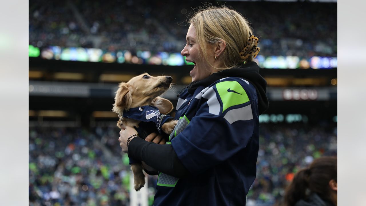 The Seahawks game is a 12th Dog and 12th Pony show 