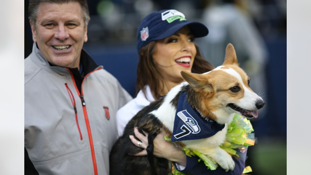 15 Best Seattle Seahawks Dog Products to Celebrate the 2023