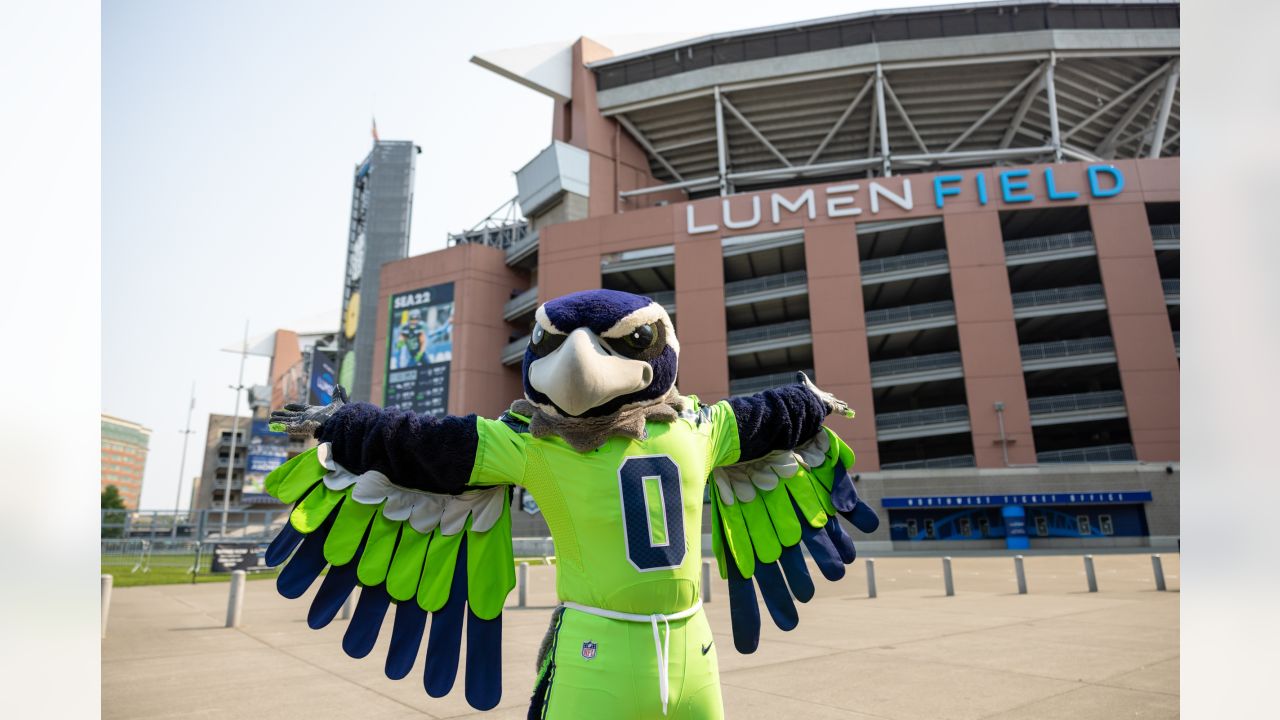 Seattle seahawks mascot blitz hi-res stock photography and images - Alamy