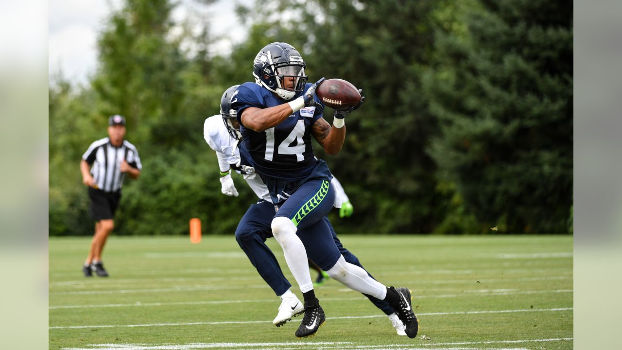 Seahawks sign Ricky Ali'ifua, Lord Adusei-Hyeamang