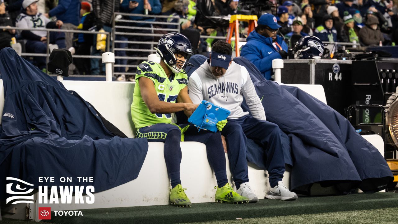 WATCH: Seattle Seahawks' Live Mascot Lands on Fan's Head During TNF