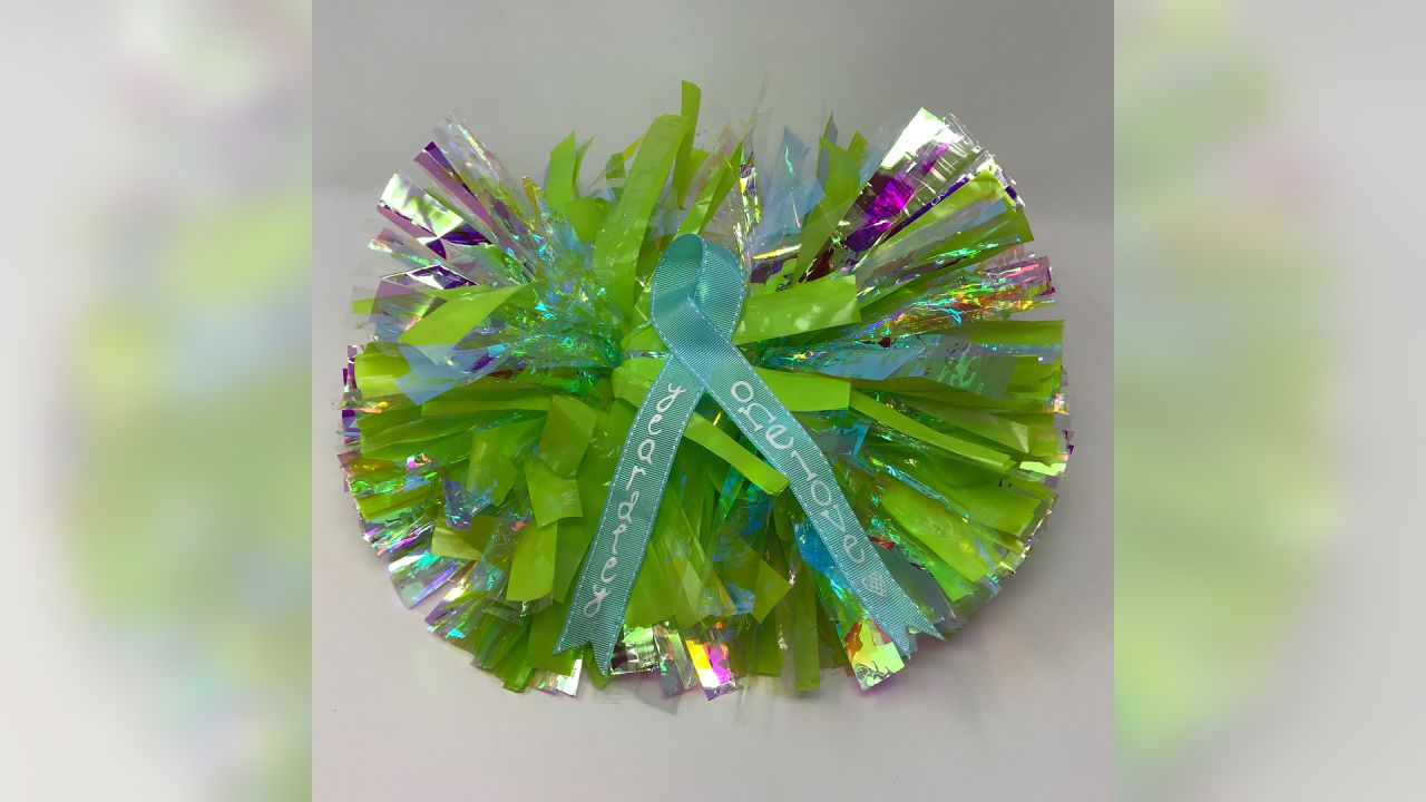 Seahawks Pom Poms 