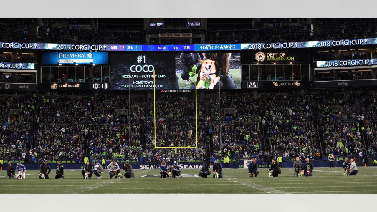 Seattle Seahawks tight end Colby Parkinson (84) puts his helmet on during  an NFL football game against the Los Angeles Chargers, Sunday, Oct. 23,  2022, in Inglewood, Calif. (AP Photo/Kyusung Gong Stock