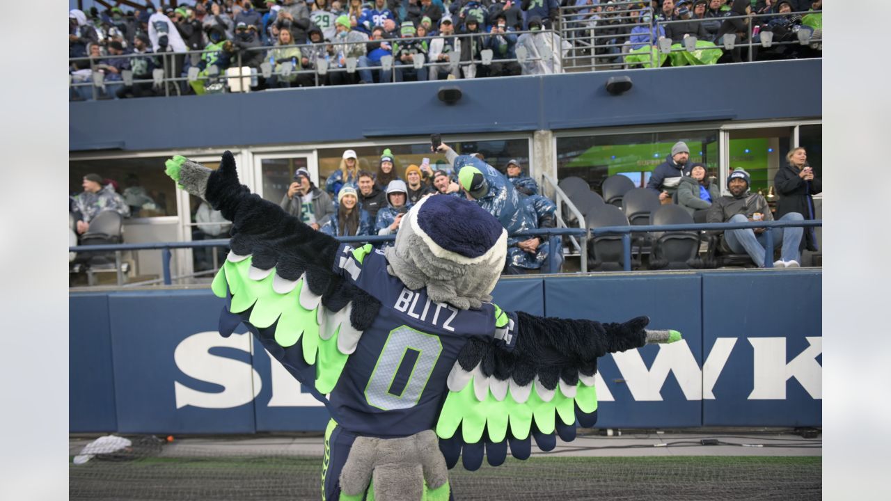 Happening nearby: Meet Seahawks Mascot Blitz Friday at HomeStreet Bank -  Lynnwood Today