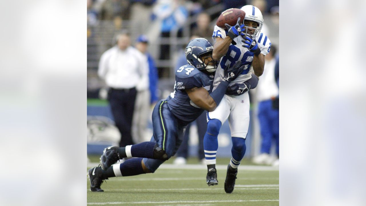 Seattle Seahawks linebacker D.D. Lewis eyes the defense during the News  Photo - Getty Images