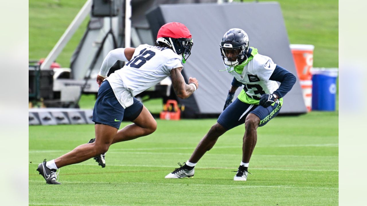 Seahawks Round-Up - Michael Dickson Named To CBS Sports' Preseason All-NFL  Team