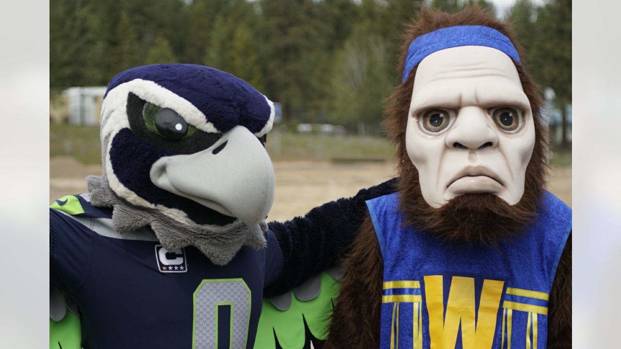 Seattle Seahawk Mascot Blitz Performs During Editorial Stock Photo