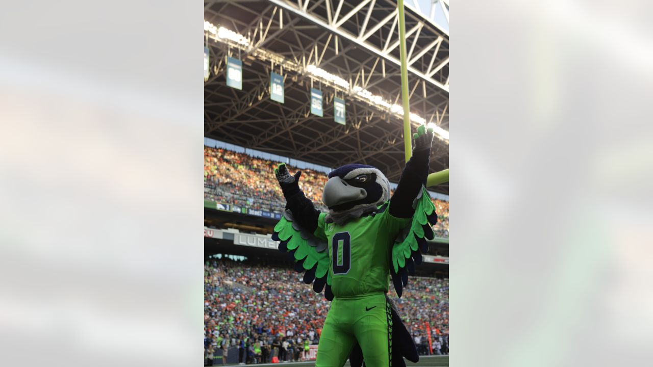 Seattle Seahawk Mascot Blitz Performs During Editorial Stock Photo - Stock  Image