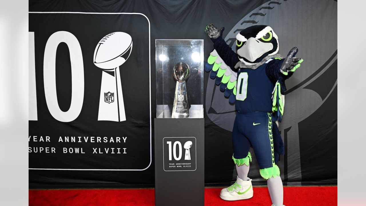 Seattle Seahawks Super Bowl XLVIII CELEBRATION (2014) Poster