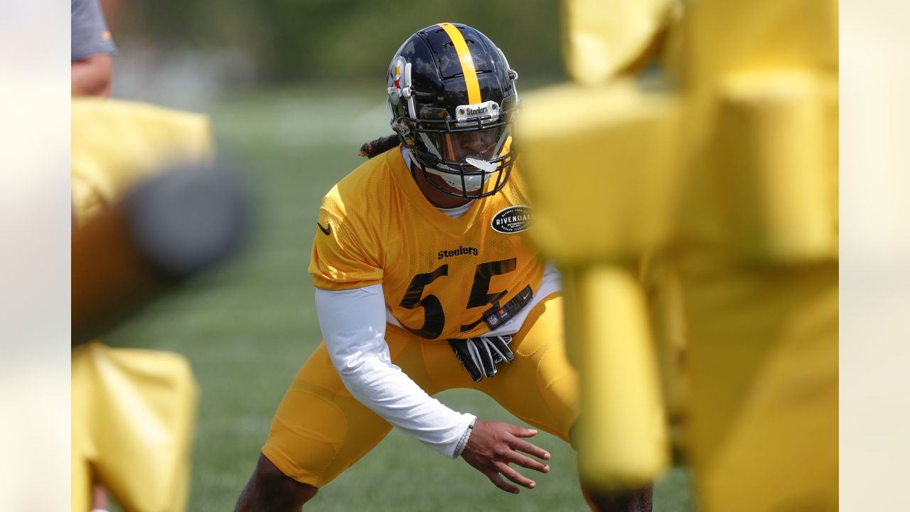 Seahawks sign former Steelers linebacker Devin Bush : r/nfl