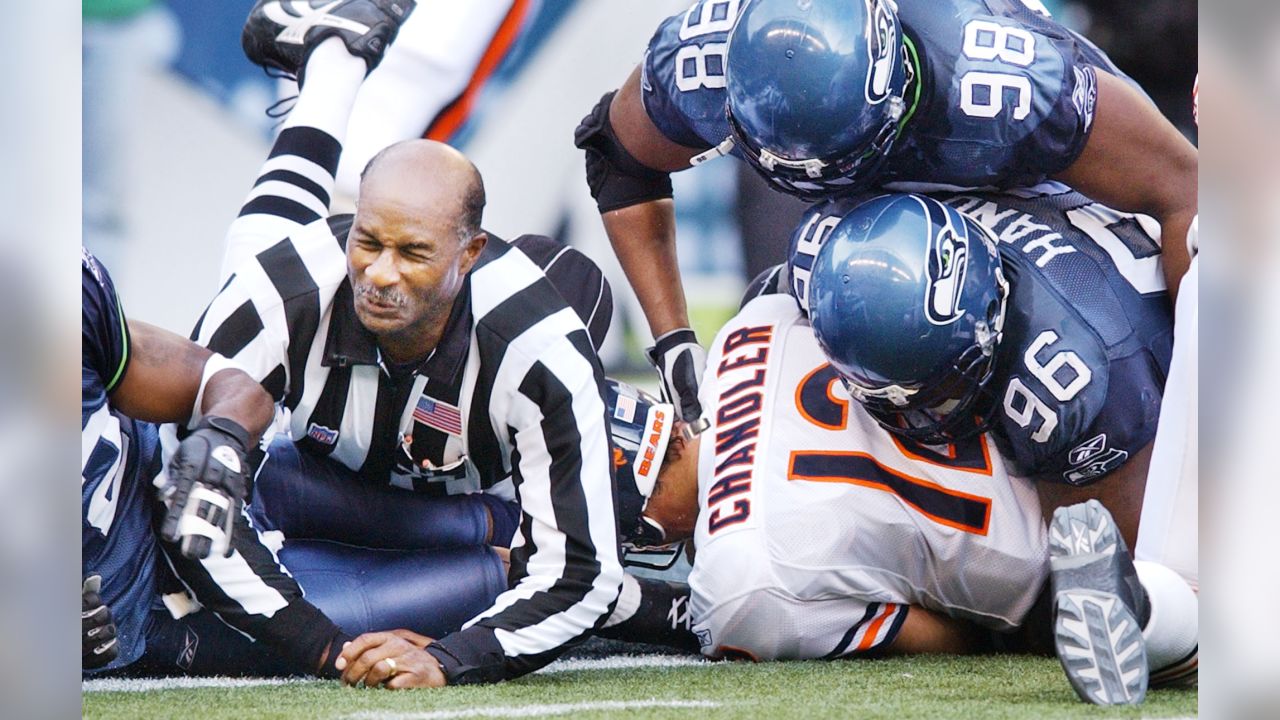 File:Seattle Seahawks vs Chicago Bears, 22 August 2014 IMG 4646  (15084952925).jpg - Wikimedia Commons