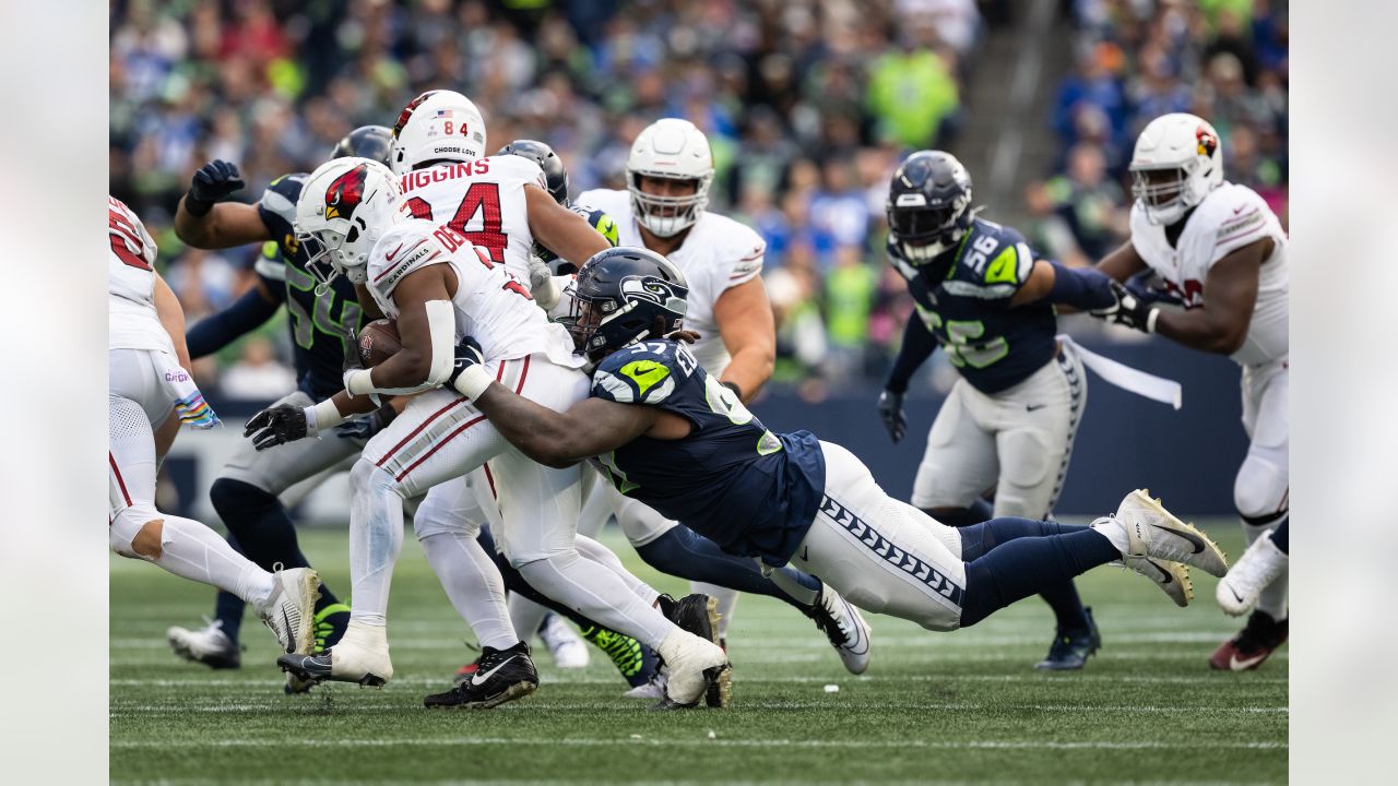 News and notes from the Seattle Seahawks - Revenge of the Birds