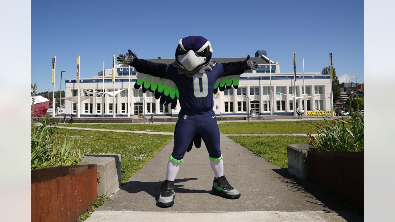 Blitz (Seattle Seahawks) Mascot Hero Series NFL Bobblehead by FOCO