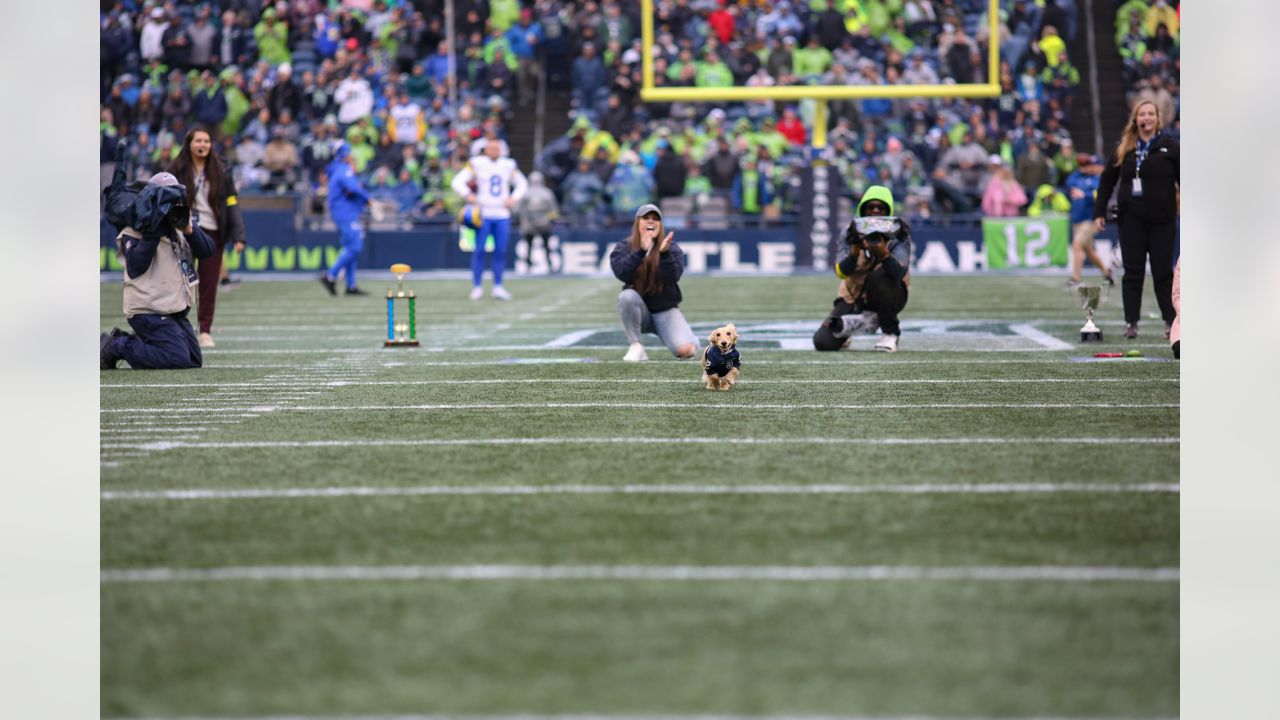 Seattle Seahawks defensive end Shelby Harris (93) runs onto the field  before an NFL football game against the New York Giants, Sunday, Oct. 30,  2022, in Seattle, WA. The Seahawks defeated the