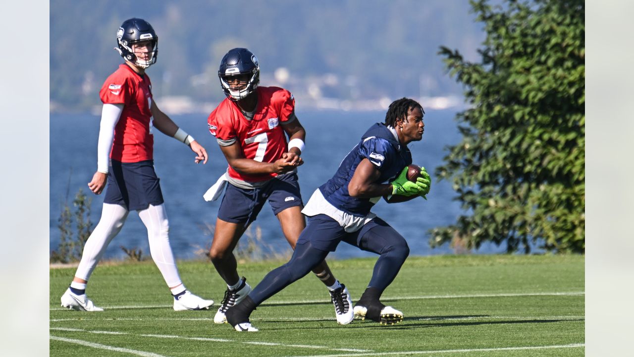 Irvin relishes chance for another run with Seahawks